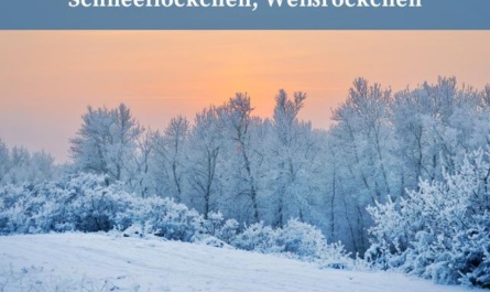 Schneeflöckchen Weißröckchen