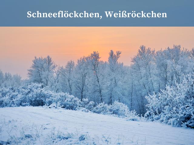 Schneeflöckchen Weißröckchen