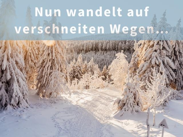 Nun wandelt auf verschneiten Wegen…